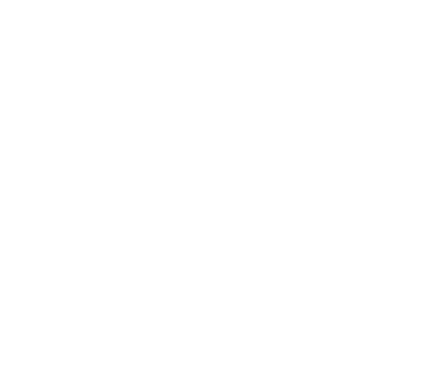 Balimmo Logo
