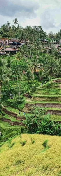 Bali Lifestyle 1